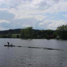 Stavba habitatu pro ryby 1