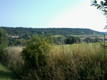 Pohled na Milskou stráň z protějšího kopce - klikněte pro zobrazení detailu