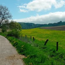 Hančina stezka Nad Vrchlabským letištěm