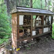 Nejčastější chyby při stavbě i koupi hmyzího hotelu