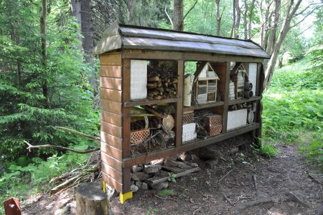 Nejčastější chyby při stavbě i koupi hmyzího hotelu