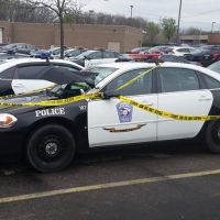 Pták na policejním autě - klikněte pro zobrazení detailu