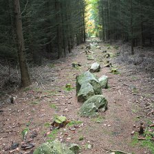 Kamenné řady