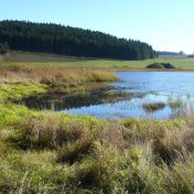 Proč víc tůní v krajině nemusí nutně znamenat víc života?