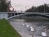 Labutí píseň (tíseň) vyslyšena!: S radostí mohu oznámit, že Dopravní podnik…