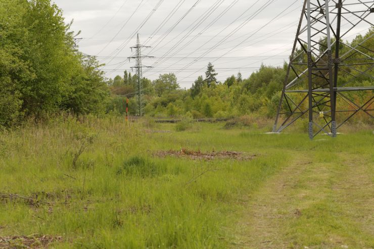 zobrazit detail snímku: Průsek pod elektrickým vedením