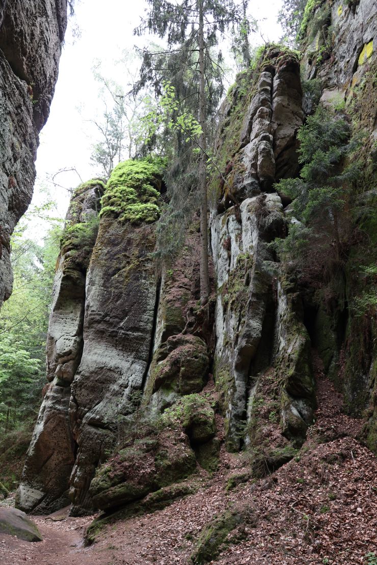 zobrazit detail snímku: Prachovské skály