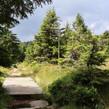 Krkonoše - cesta od Petrovky k Ptačímu kameni