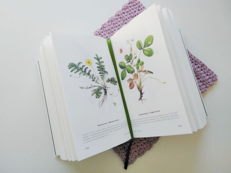 zobrazit detail snímku: Ukázka z knihy Rostliny naší přírody