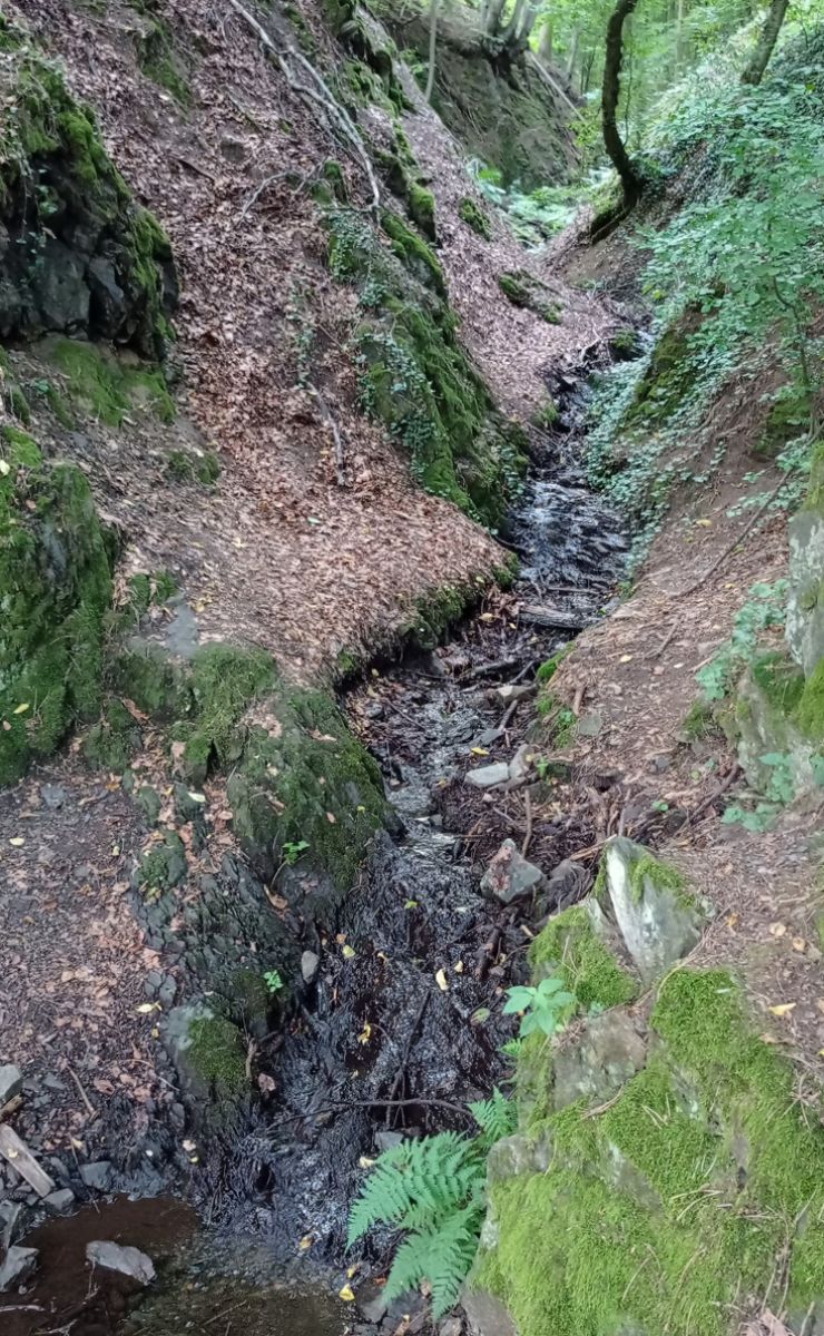 zobrazit detail snímku: Stezkou od Čechova mlýna