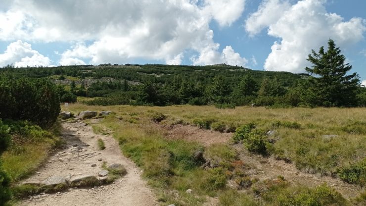 zobrazit detail snímku: Cesta z Černého sedla dolů