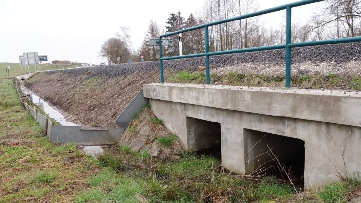 zobrazit detail snímku: Žabí zátaras u silnice u letiště Vrchlabí