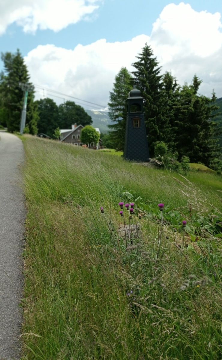 zobrazit detail snímku: Yvoni4ka nad Šindlem