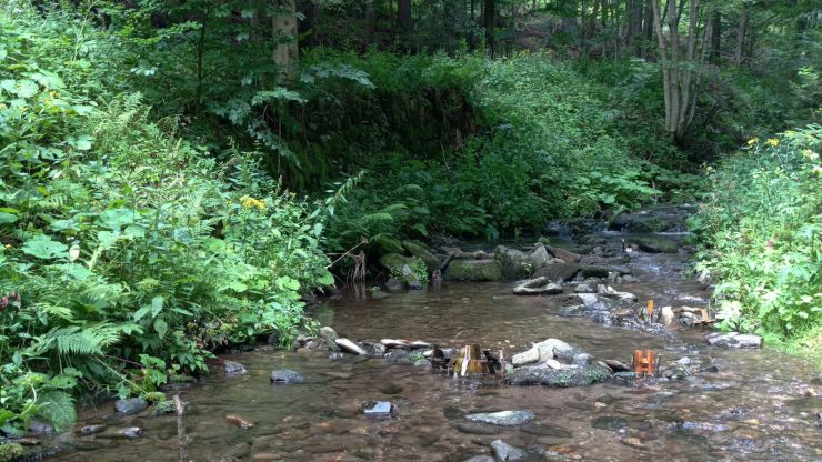 zobrazit detail snímku: Mlýnky na potoce v Luisině údolí