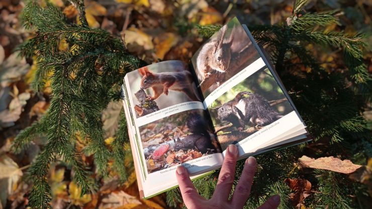 zobrazit detail snímku: Fotky v knize Zaříkávač zvířat