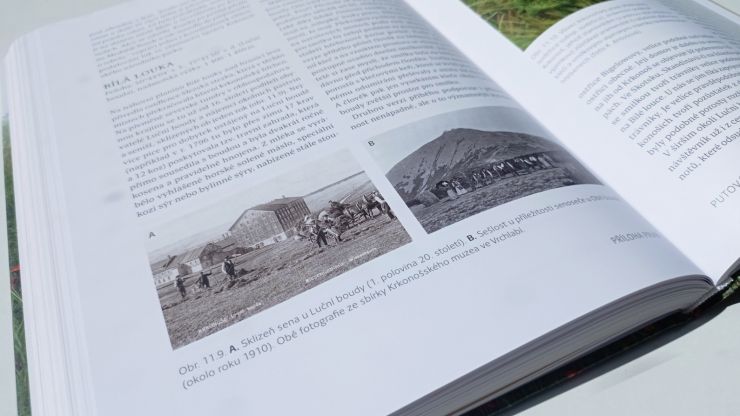 zobrazit detail snímku: Ukázka z knihy Louka - dobrodružství poznávání