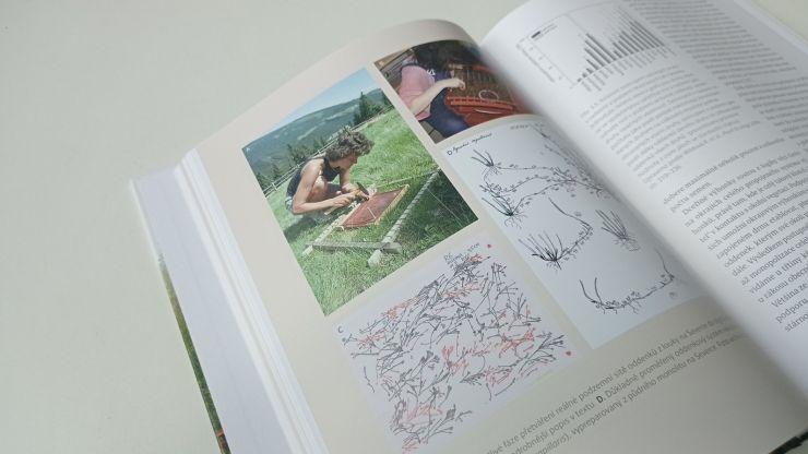 zobrazit detail snímku: Ukázka z knihy Louka - dobrodružství poznávání