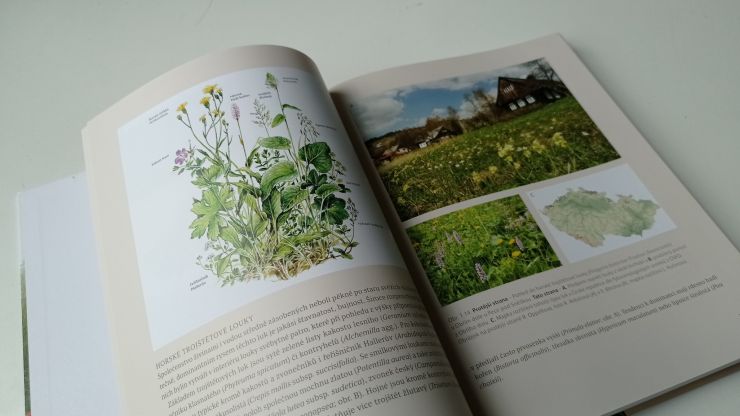 zobrazit detail snímku: Ukázka z knihy Louka - dobrodružství poznávání