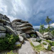Výlet do Krkonoš za zvířátky a dál cestou, kde skoro nikoho nepotkáte
