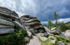Výlet do Krkonoš za zvířátky a dál cestou, kde skoro nikoho nepotkáte