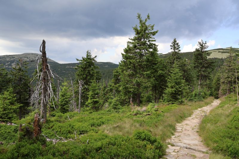 Krkonoše - cesta od Ptačího kamene na Brádlerovy boudy - klikněte pro zobrazení detailu Krkonoše - cesta od Ptačího kamene na Brádlerovy boudy - klikněte pro zobrazení detailu