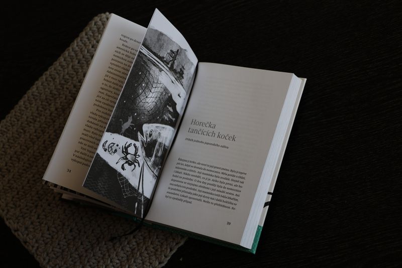 Ukázka z knihy Geostorky  - klikněte pro zobrazení detailu Ukázka z knihy Geostorky  - klikněte pro zobrazení detailu