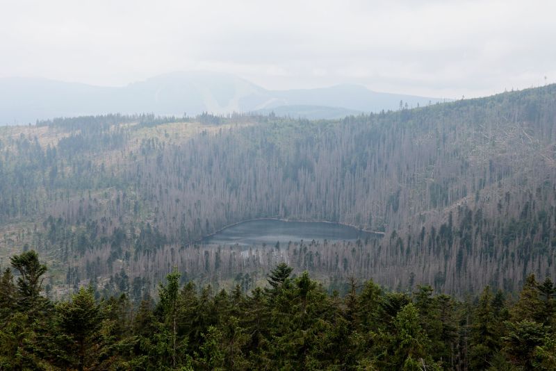 Čertovo jezero z rohledny Špičák - klikněte pro zobrazení detailu Čertovo jezero z rohledny Špičák - klikněte pro zobrazení detailu
