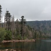 Výlet na Šumavu – Černé a Čertovo jezero ze Špičáckého sedla - podrobně