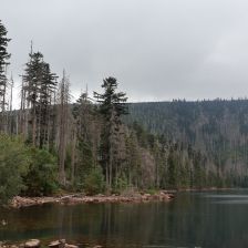 Výlet na Šumavu – Černé a Čertovo jezero ze Špičáckého sedla - podrobně