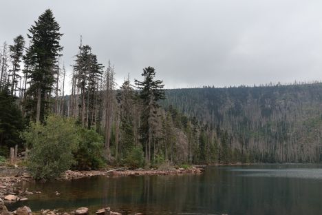 Výlet na Šumavu – Černé a Čertovo jezero ze Špičáckého sedla - podrobně