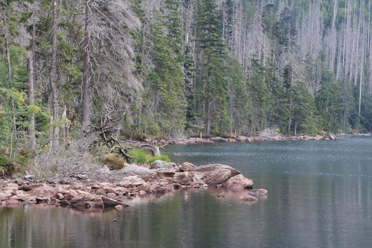 zobrazit detail snímku: Černé jezero