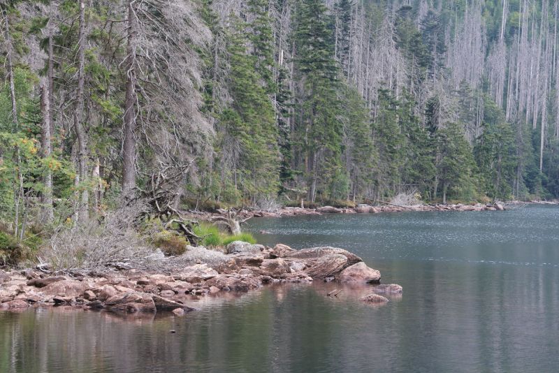 Černé jezero - klikněte pro zobrazení detailu Černé jezero - klikněte pro zobrazení detailu