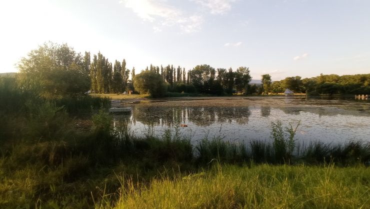 zobrazit detail snímku: Rybník Vejsplachy - celkový pohled