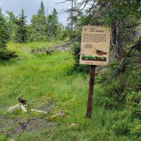 Krkonoše - Stezka za zvířátky u Moravské boudy - zastavení - klikněte pro zobrazení detailu
