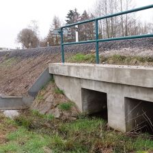 Žabí zátaras u silnice u letiště Vrchlabí