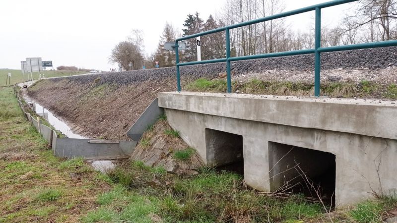 Žabí zátaras u silnice u letiště Vrchlabí - klikněte pro zobrazení detailu