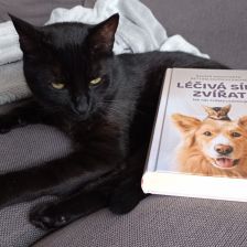 Recenze knihy Léčivá síla zvířat