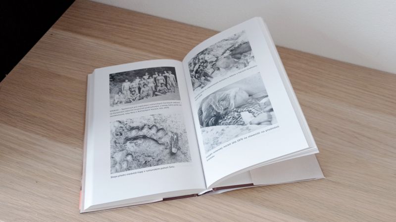 Fotky v knize Náčelník - klikněte pro zobrazení detailu