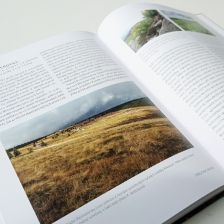 Ukázka z knihy Louka - dobrodružství poznávání