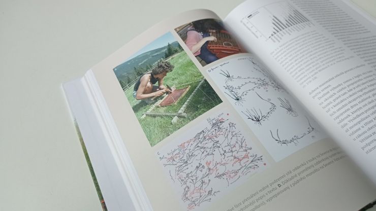 zobrazit detail snímku: Ukázka z knihy Louka - dobrodružství poznávání