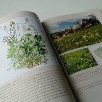 Ukázka z knihy Louka - dobrodružství poznávání - klikněte pro zobrazení detailu