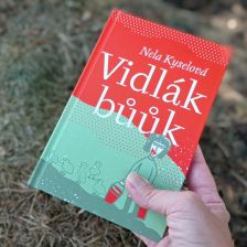 Kniha Vidlák bůůk