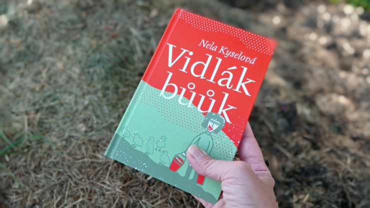 zobrazit detail snímku: Kniha Vidlák bůůk