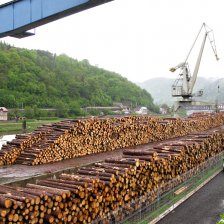 Terminál Děčín se dřevem směřujícím na lodích do zahraničí (Čína apod.)