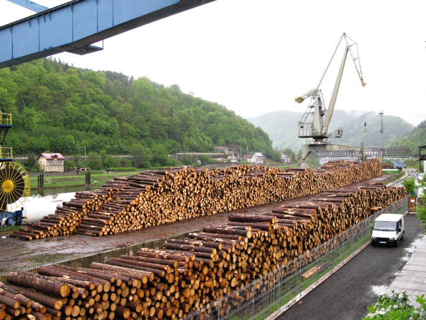 Terminál Děčín se dřevem směřujícím na lodích do zahraničí (Čína apod.) - klikněte pro zobrazení detailu