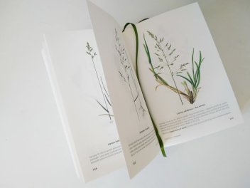 Ukázka z knihy Rostliny naší přírody - klikněte pro zobrazení detailu