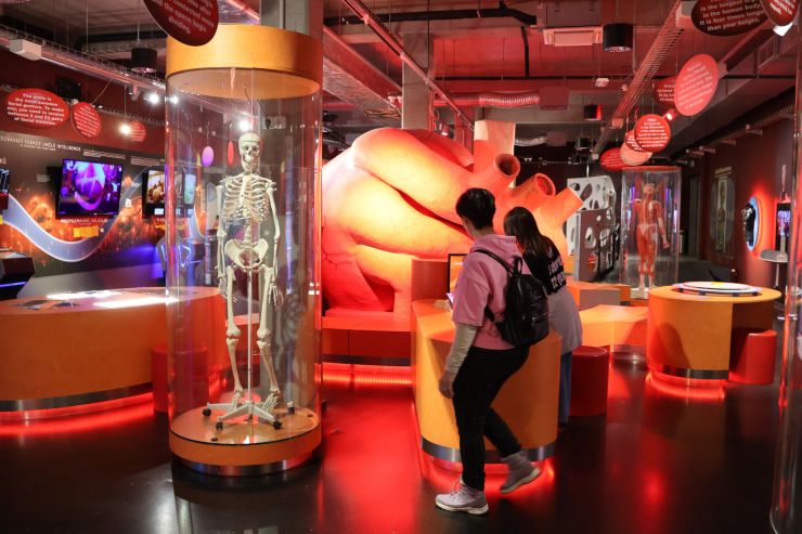 zobrazit detail snímku: IQlandia - člověk