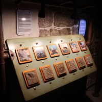 IQlandia - Geolab - zkameněliny - klikněte pro zobrazení detailu