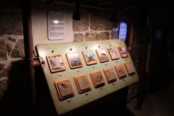 zobrazit detail snímku: IQlandia - Geolab - zkameněliny