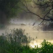  Ochrana přírody má význam i v národní bezpečnosti, ukázal jeden geniální krok ukrajinského velení